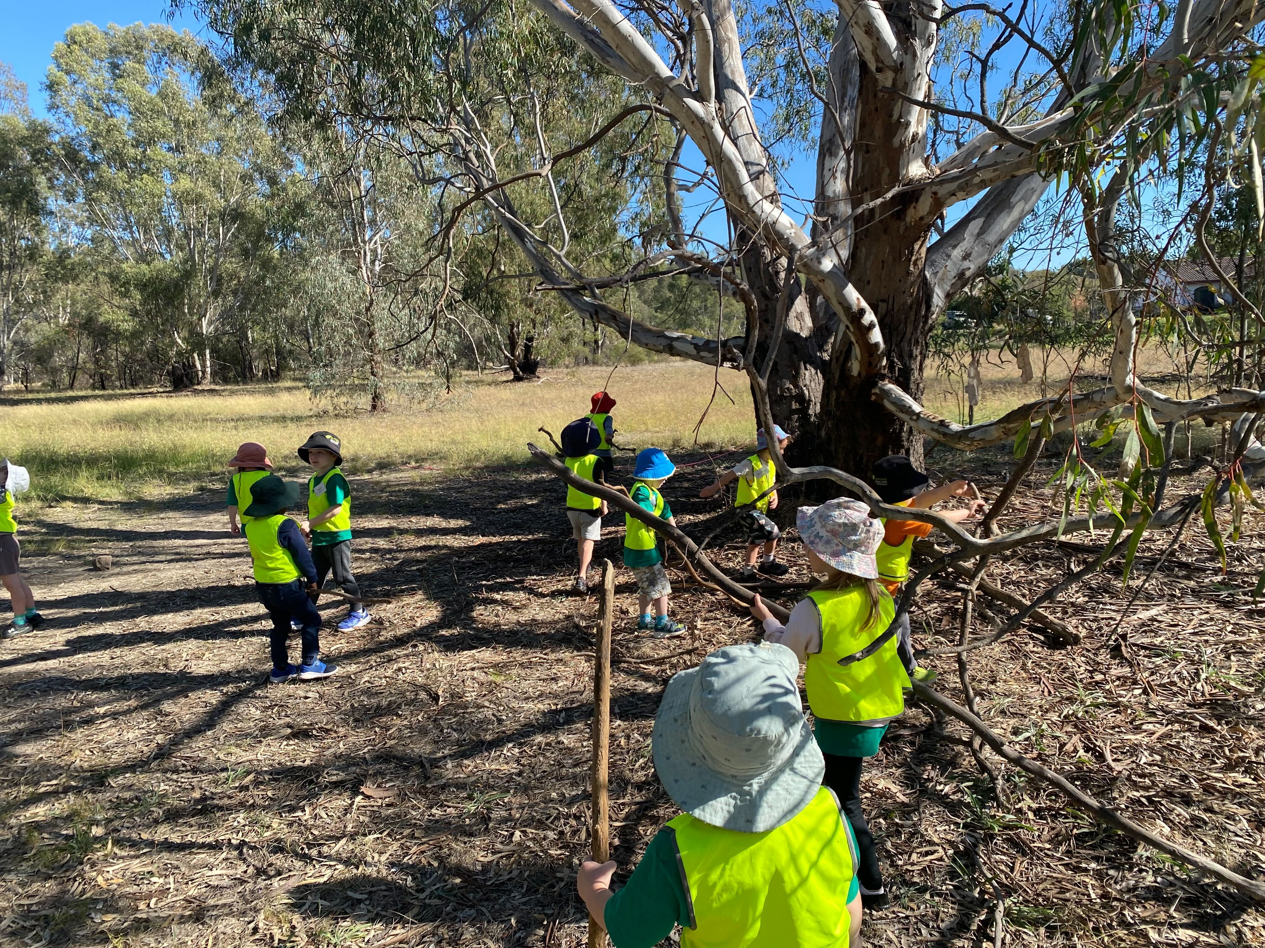 Children at a Bush Kinder session under a gum tree on Yorta Yorta Country